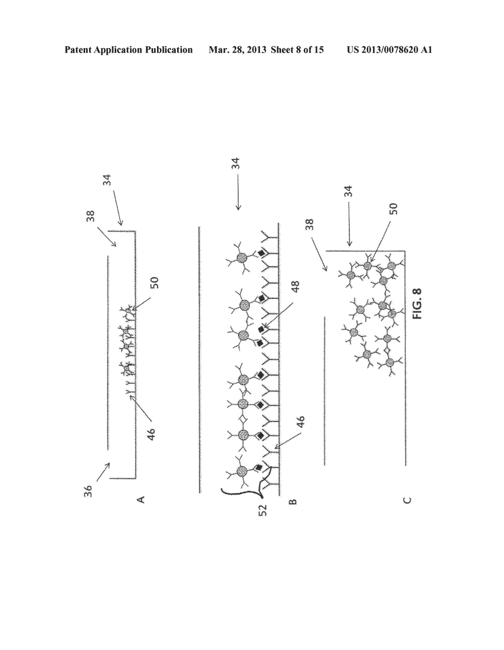 DEVICE AND METHOD FOR DETECTION AND IDENTIFICATION OF IMMUNOLOGICAL     PROTEINS, PATHOGENIC AND MICROBIAL AGENTS AND CELLS - diagram, schematic, and image 09