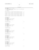 Probe, and polymorphism detection method using the same diagram and image