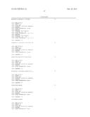 Probe, and polymorphism detection method using the same diagram and image