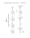 Bead Emulsion Nucleic Acid Amplification diagram and image