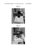 Bead Emulsion Nucleic Acid Amplification diagram and image