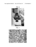 Bead Emulsion Nucleic Acid Amplification diagram and image