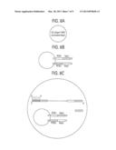 Bead Emulsion Nucleic Acid Amplification diagram and image