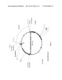 Bacillus Pumilus Bilirubin Oxidase and Applications Thereof diagram and image