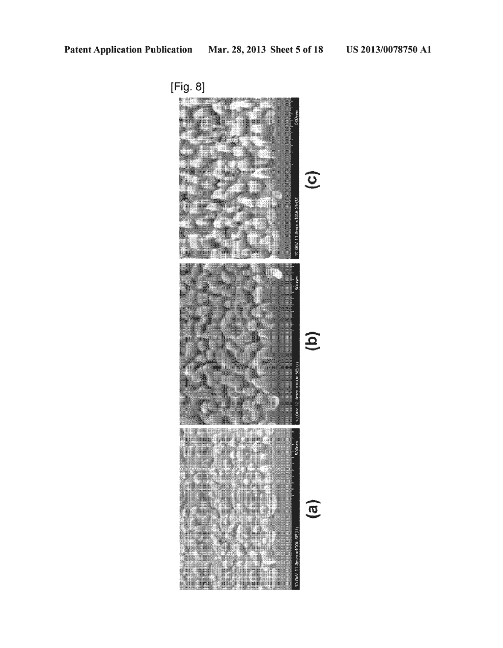 FABRICATING METHOD OF NANO STRUCTURE FOR ANTIREFLECTION AND FABRICATING     METHOD OF PHOTO DEVICE INTEGRATED WITH ANTIREFLECTION NANO STRUCTURE - diagram, schematic, and image 06