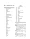 APPARATUS FOR MUSCLE STIMULATION diagram and image