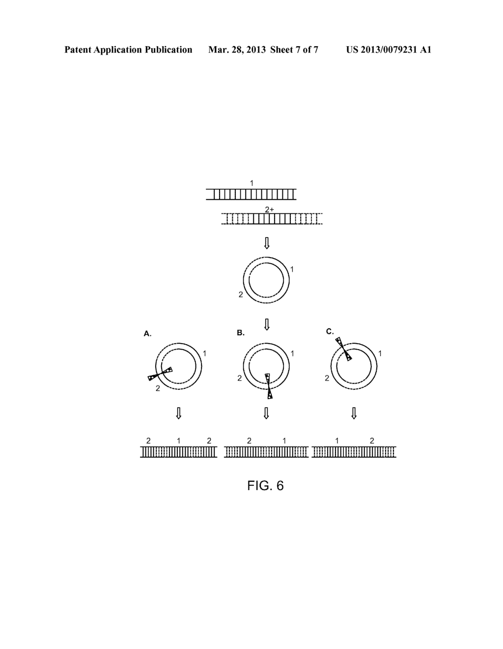 METHODS FOR OBTAINING A SEQUENCE - diagram, schematic, and image 08