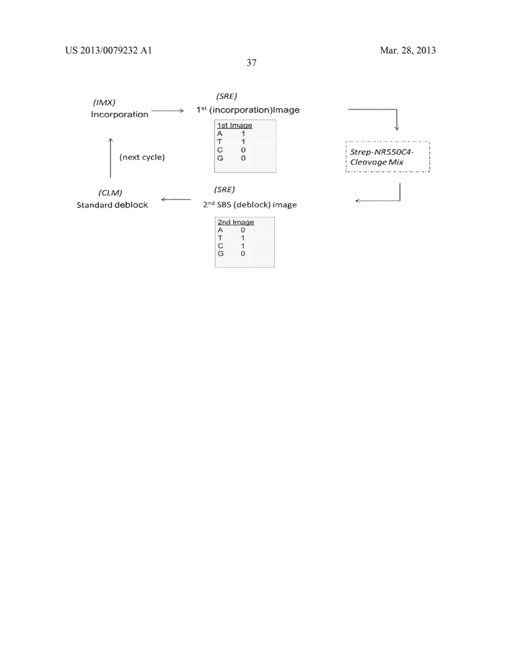 METHODS AND COMPOSITIONS FOR NUCLEIC ACID SEQUENCING - diagram, schematic, and image 44