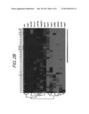 SPLICE VARIANT SPECIFIC MESSENGER RNA TRANSCRIPTS AS BIOMARKERS OF     PARKINSON S DISEASE diagram and image