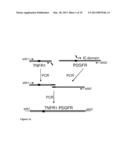 Methods and Tools for Screening Agents Exhibiting an Activity on Receptors     of the Tumor Necrosis Factor Receptor Superfamily diagram and image