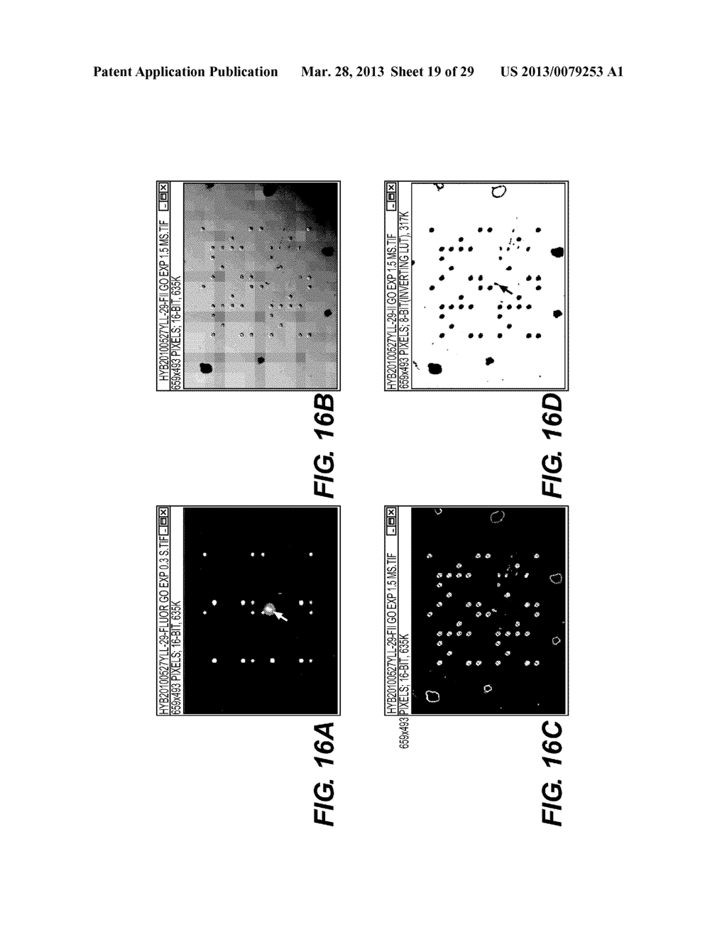 MICROARRAY-BASED SAMPLE ANALYSIS SYSTEM - diagram, schematic, and image 20