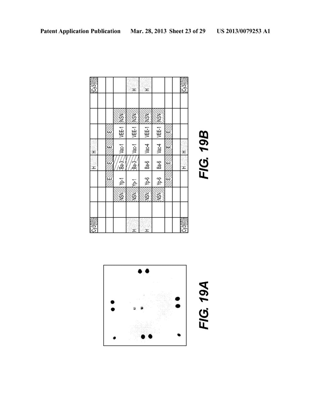 MICROARRAY-BASED SAMPLE ANALYSIS SYSTEM - diagram, schematic, and image 24