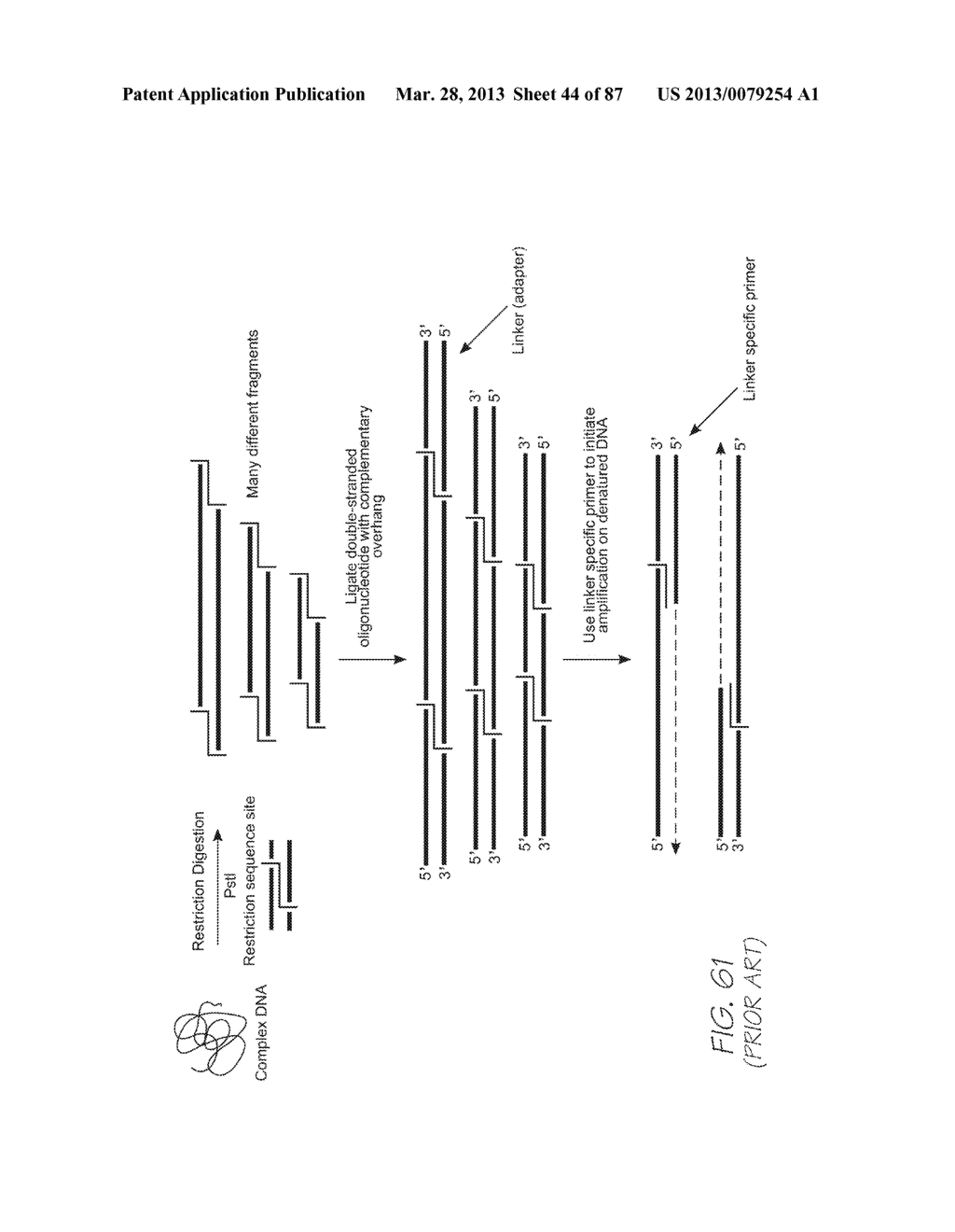 Microfluidic dialysis device - diagram, schematic, and image 45