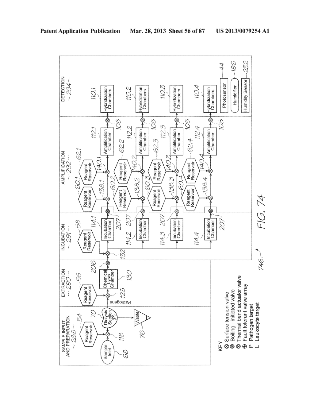 Microfluidic dialysis device - diagram, schematic, and image 57