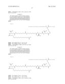 Novel Glucagon Analogues diagram and image