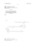 Novel Glucagon Analogues diagram and image