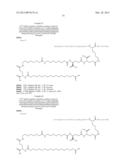 Novel Glucagon Analogues diagram and image