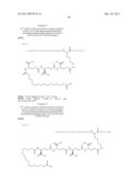 Novel Glucagon Analogues diagram and image