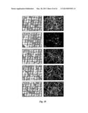 NEURO-PROTECTIVE EFFECTS OF ADELOSTEMMA GRACILLIMUM AND ITS ISOLATED     COMPOUNDS diagram and image