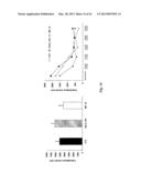 NEURO-PROTECTIVE EFFECTS OF ADELOSTEMMA GRACILLIMUM AND ITS ISOLATED     COMPOUNDS diagram and image