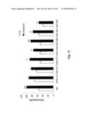 NEURO-PROTECTIVE EFFECTS OF ADELOSTEMMA GRACILLIMUM AND ITS ISOLATED     COMPOUNDS diagram and image