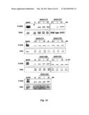 NEURO-PROTECTIVE EFFECTS OF ADELOSTEMMA GRACILLIMUM AND ITS ISOLATED     COMPOUNDS diagram and image