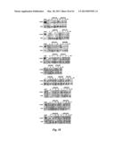 NEURO-PROTECTIVE EFFECTS OF ADELOSTEMMA GRACILLIMUM AND ITS ISOLATED     COMPOUNDS diagram and image