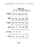 NEURO-PROTECTIVE EFFECTS OF ADELOSTEMMA GRACILLIMUM AND ITS ISOLATED     COMPOUNDS diagram and image