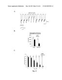 NEURO-PROTECTIVE EFFECTS OF ADELOSTEMMA GRACILLIMUM AND ITS ISOLATED     COMPOUNDS diagram and image