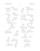 GYRASE INHIBITORS diagram and image