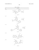 GYRASE INHIBITORS diagram and image