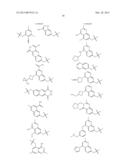 GYRASE INHIBITORS diagram and image