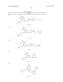 GYRASE INHIBITORS diagram and image