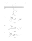 GYRASE INHIBITORS diagram and image