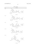 GYRASE INHIBITORS diagram and image