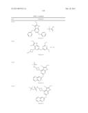 GYRASE INHIBITORS diagram and image