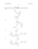 GYRASE INHIBITORS diagram and image