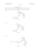 GYRASE INHIBITORS diagram and image