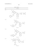 GYRASE INHIBITORS diagram and image