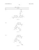 GYRASE INHIBITORS diagram and image