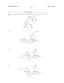 GYRASE INHIBITORS diagram and image