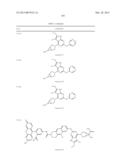 GYRASE INHIBITORS diagram and image