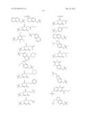 GYRASE INHIBITORS diagram and image