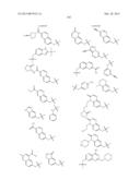 GYRASE INHIBITORS diagram and image