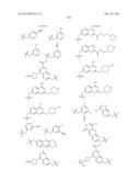 GYRASE INHIBITORS diagram and image