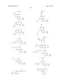 GYRASE INHIBITORS diagram and image