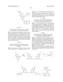 GYRASE INHIBITORS diagram and image