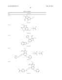 GYRASE INHIBITORS diagram and image