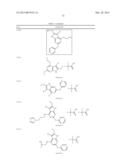 GYRASE INHIBITORS diagram and image