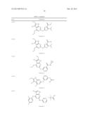 GYRASE INHIBITORS diagram and image